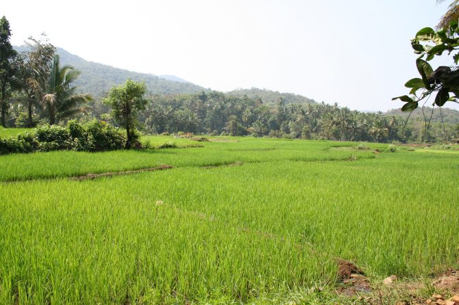 Socio-ecological production landscape in North Western Ghats