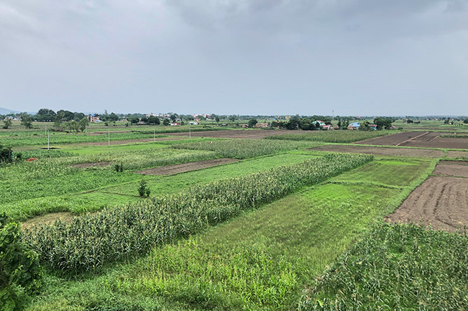 Landscape of Chitwan District, Nepal with abundant paddy fields