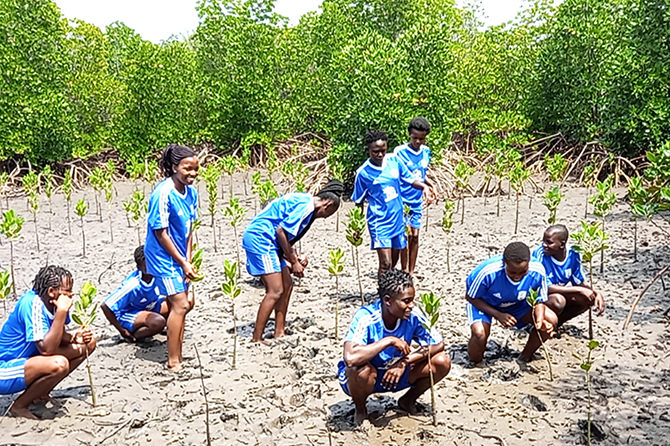 Local women’s football club participating in Mangrove planting in Marereni