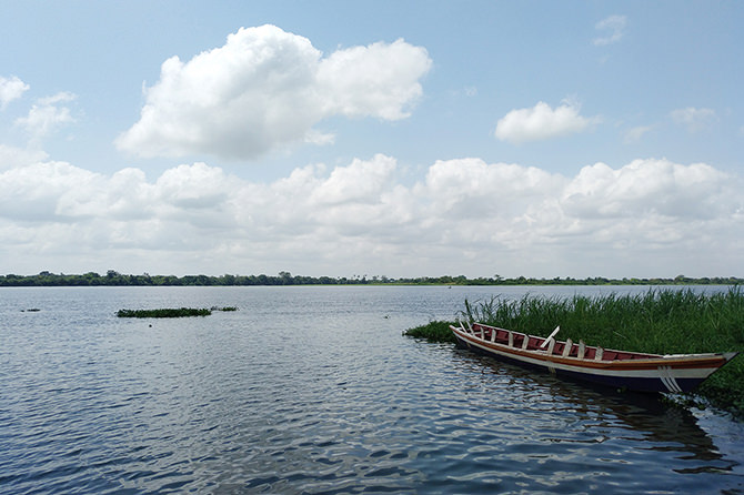 Keta Lagoon Complex Ramsar Site, Keta Municipality, Volta region, Ghana