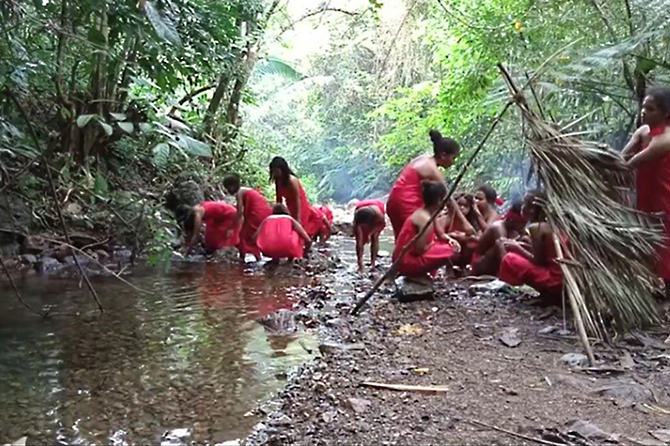 The Agta women traditionally fish as a group in their ancestral forest for food.