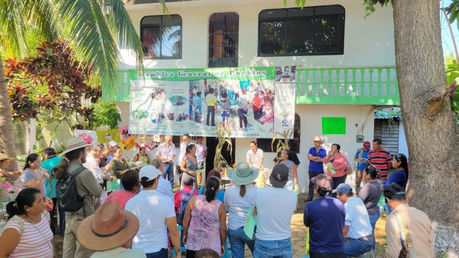 Seed exchange fair in Coyuca de Benitez, Guerrero. Photo: Marcos Cortez Bacilio
