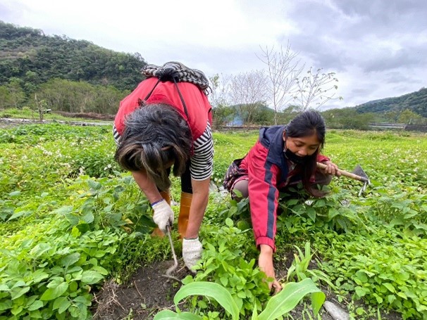 Youth Farming with the elderly