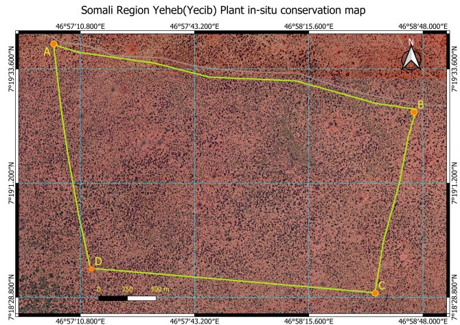 Map of Gambareey In-situ site for the conservation of Cordeauxia edulis and their habitat in Gambareey Village of Bookh district