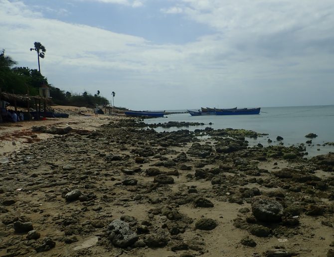 A view of the Seaward area of the Gulf of Mannar National Park