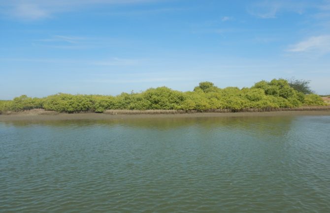 One of the 21 Islets in the Gulf of Mannar National Park