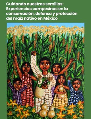 Seed conservation manual: Cuidando nuestras semillas:Experiencias campesinas en laconservación, defensa y proteccióndel maíz nativo en México