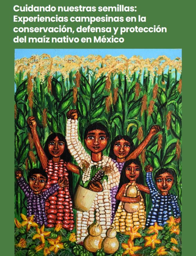 Seed conservation manual: Cuidando nuestras semillas:Experiencias campesinas en laconservación, defensa y proteccióndel maíz nativo en México