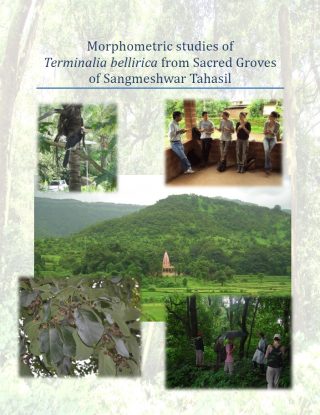 Morphometric studies of Terminalia bellirica from Sacred Groves of Sangmeshwar Tahasil