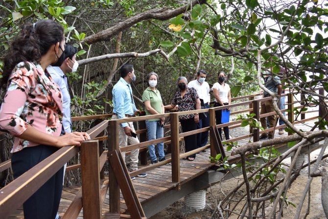 Elevated trail tour inside the mangrove in the ACUS Community